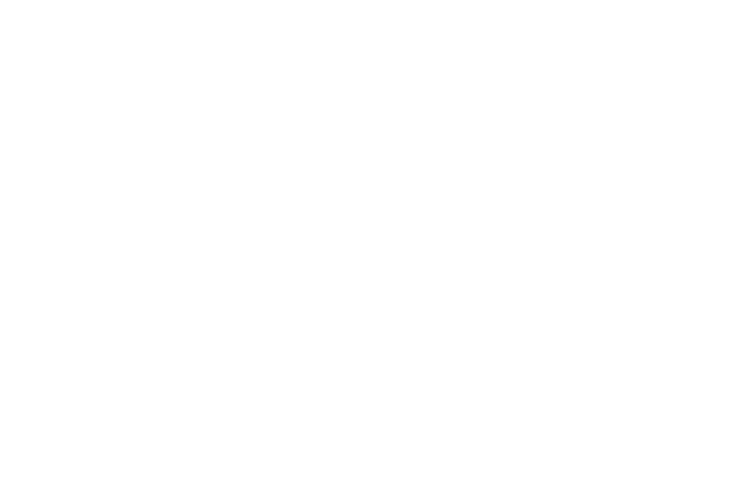 Rocky Mountain Garage Pros